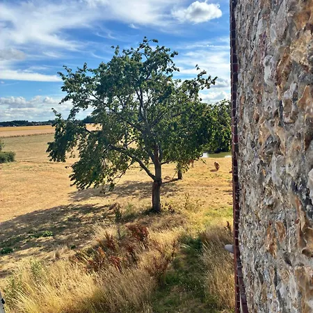 Les Cerisiers In Normandy بيت للعطل