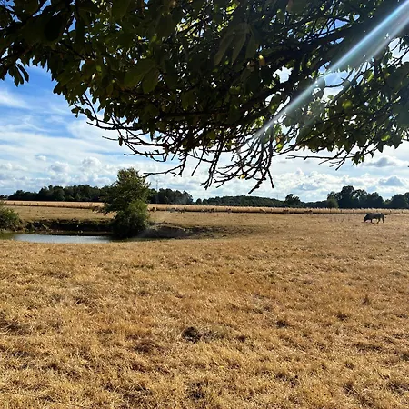 بيت للعطل Les Cerisiers In Normandy Saint-Leger-de-Rotes