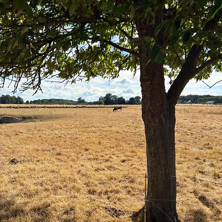 Les Cerisiers In Normandy * Saint-Leger-de-Rotes